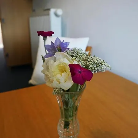 Haus Alpenland * Mariazell