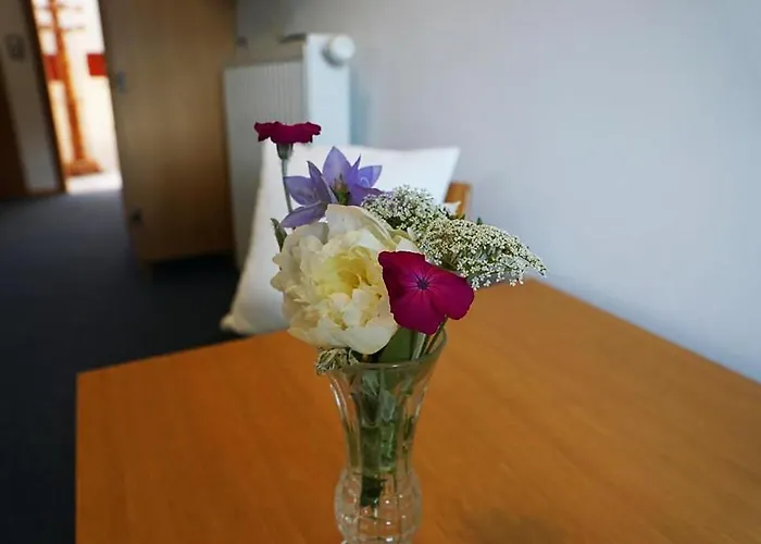 Haus Alpenland * 玛利亚采尔