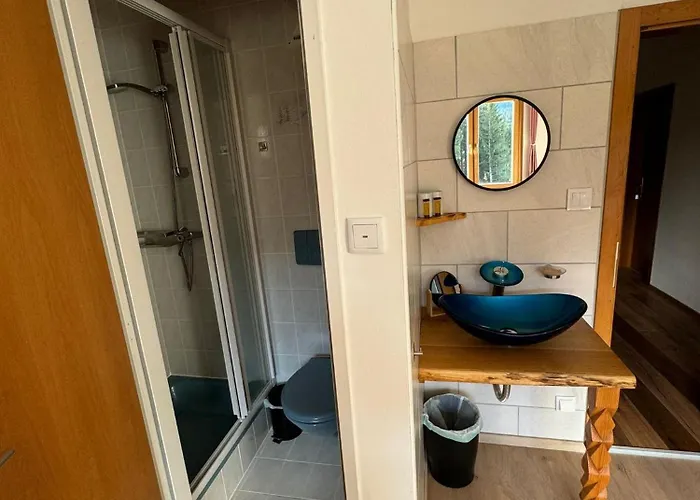 Haus Alpenland 公寓 *